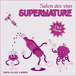 salon vin nature